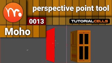0013. perspective points tool in moho