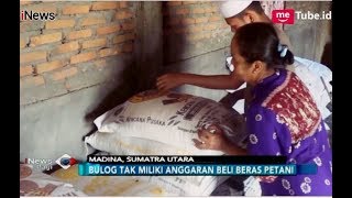 Panen Raya Pemerintah Malah Impor, Petani Takut Harga Gabah Anjlok - iNews Pagi 24/09
