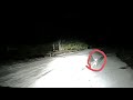 Gece yolda karşımıza çıkan tavşanın araç kamerasındaki kaydı. 