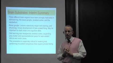 Chapter 8 Skill Memory