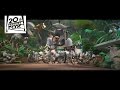 RIO On Blu Ray And DVD 20th Century FOX RIO On Blu Ray And DVD 20th Century FOX