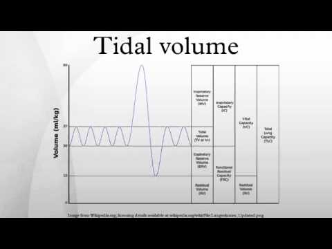 Tidal Volume Chart