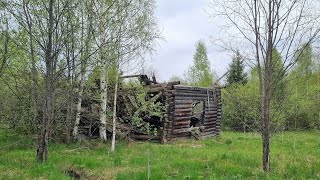 Медвежка. Заброшенный поселок в Костромской области.