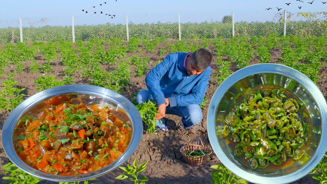 કાઠિયાવાડી રીંગણ નું શાક અને રસ્સા વાળો મરચા નો સંભારો | Ringan Nu Shaak | Marcha No Sambharo