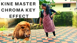 Green screen edit| Lion Green Screen| Green screen Girl play Green Screen | Kine master chroma key| Green screen edit| Lion Green Screen| Green screen Girl play Green Screen | Kine master chroma key|