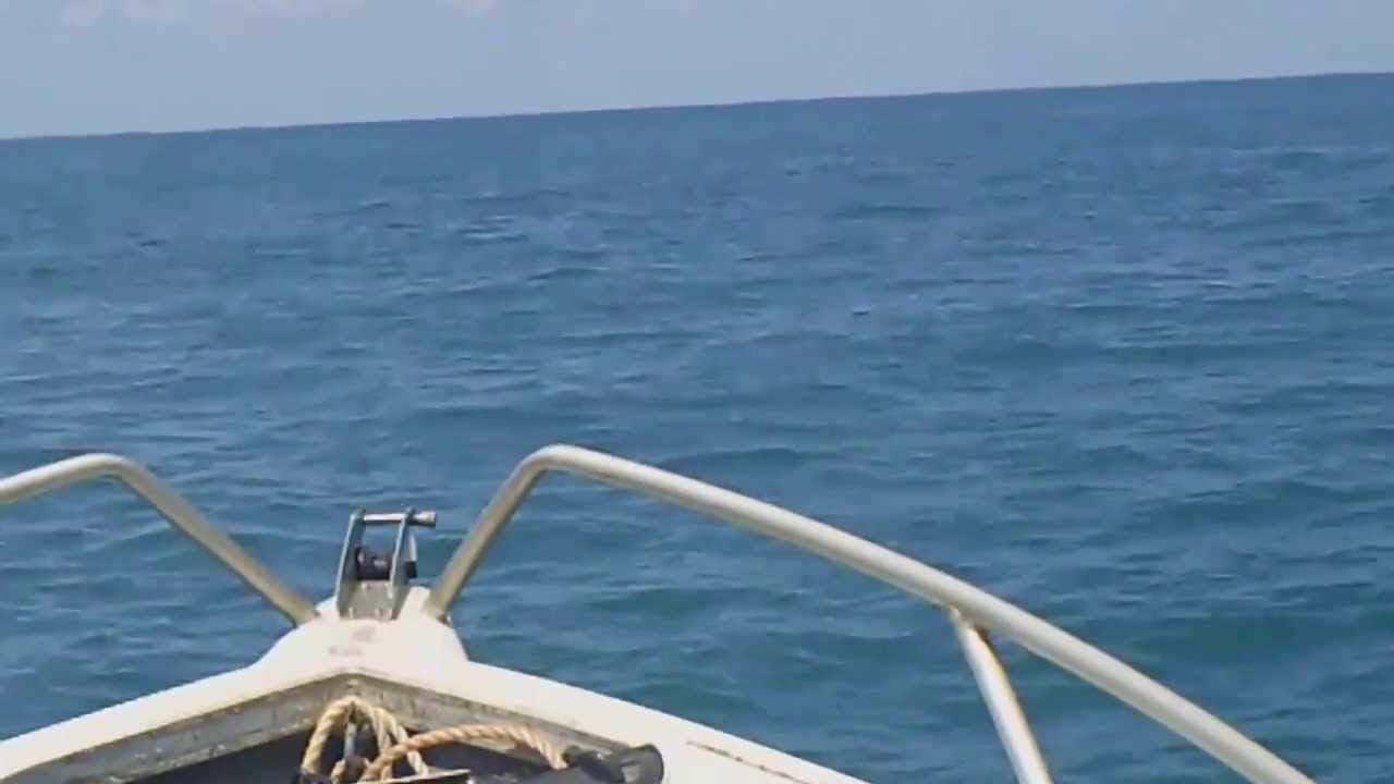 Daz and Milt whale watching off Bare Sand Island 13 09 13