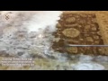 Cleaning sultan abad rug