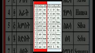 Amharic Numbers Quickie - Ethiopian Numerals 🇪🇹 screenshot 4