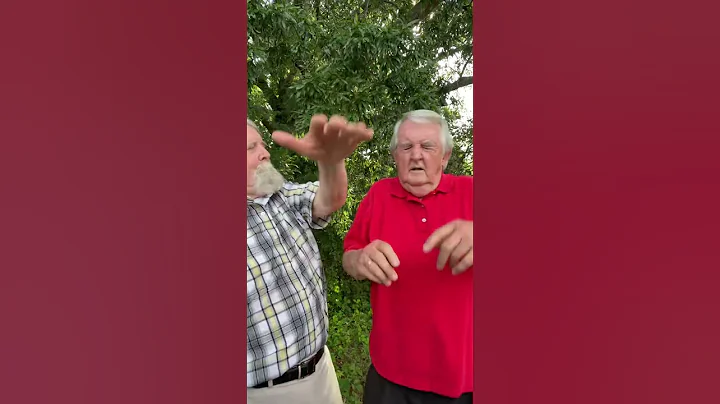 POV: Brothers be like.. #hanelinetwins #shorts #funny