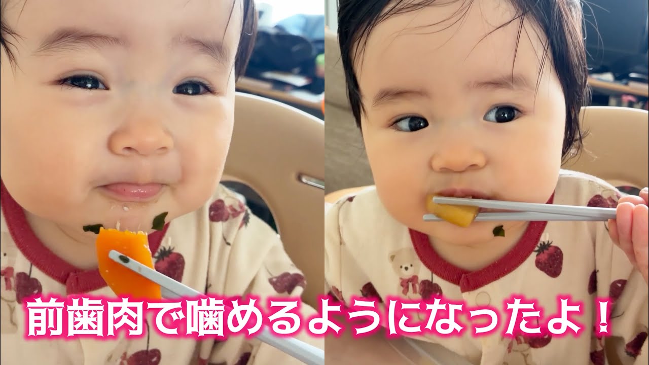 1 year and 1 month old] 👶 This baby doesn't have teeth yet, but