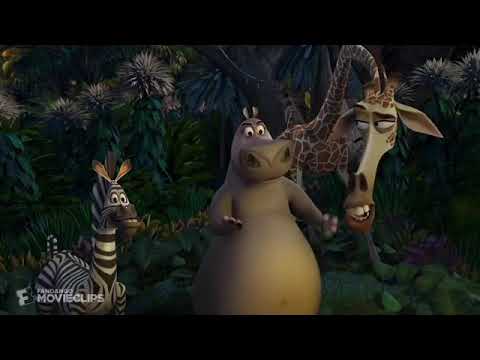 i like to move it madagascar 2 beginning i like to move it madagascar 2 beginning