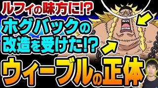 明らかにおかしい 白ひげ の息子を名乗る ウィーブル は人造人間説 One Piece ワンピース Youtube