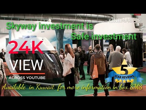 skyway investment group