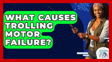 What Causes Trolling Motor Failure? - Chasing Big Fish