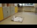 Referendum 2026