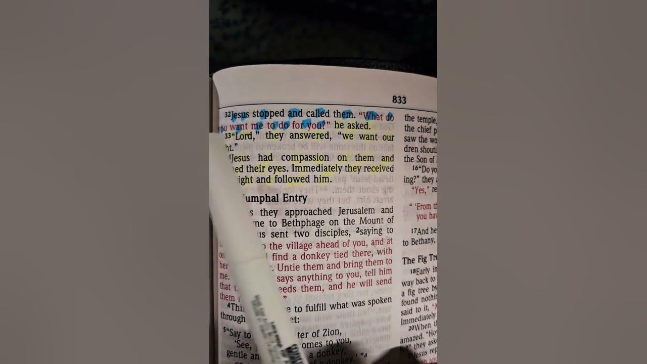 jesus-stopped-and-called-them-what-do-you-want-me-to-do-for-you-he
