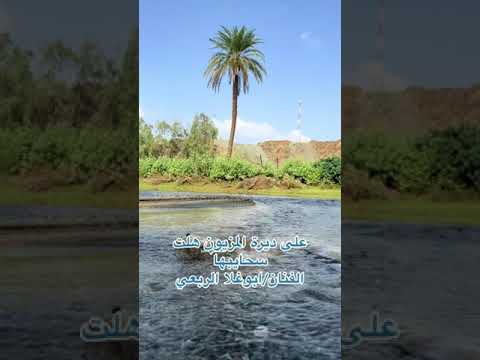 الفنان ابوغلا الربعي ع ديرة المزيون 