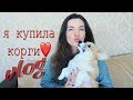 ВЛОГ: НОВЫЙ ДОМ И Я КУПИЛА ВЕЛЬШ КОРГИ ПЕМБРОК