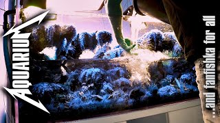 Качественные подмены воды в аквариуме: совет профессионалоFF