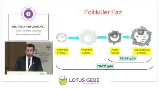 YARD. DOÇ. DR. YİĞİT ÇAKIROĞLU - MENSTRUAL SİKLUS FİZYOLOJİSİ