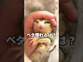 モモンガがベタ慣れの時にする行動3選