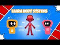 Learn & Discover Ep 1: The Human Body Explained for Kids | Learn Body Systems | STEM for Kids
