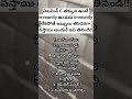 C విటమిన్ కి ఇవ్వే best foods|C vitamin foods for super immunity #telugu #health #shorts