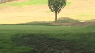 Nhs - Mv - 5Th Hole - Tee Shot