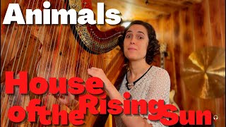 Animals, House Of The Rising Sun- A Classical Musician’s First Listen and Reaction