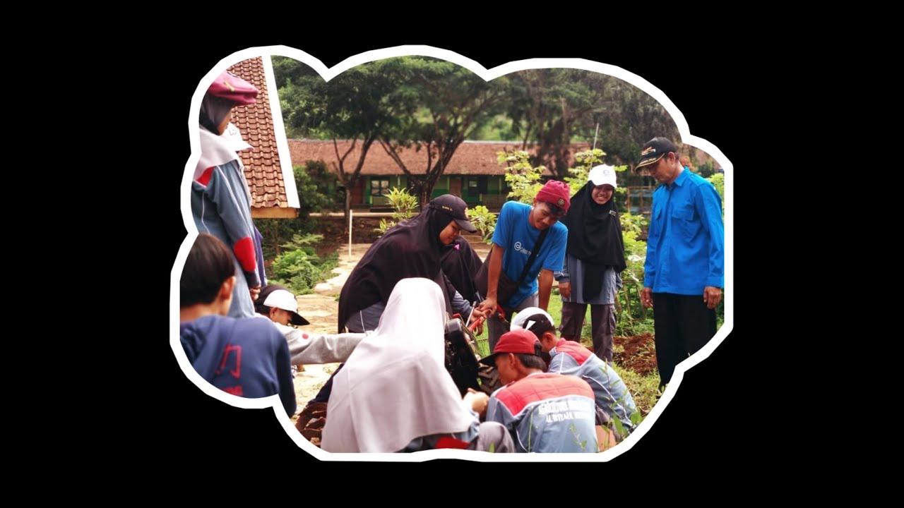 BUDIDAYA KACANG HIJAU(YUK BELAJAR BERTANI😍) VIGNA RADIATA 