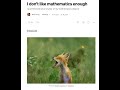 I Don't Like Mathematics Enough | A Personal Essay