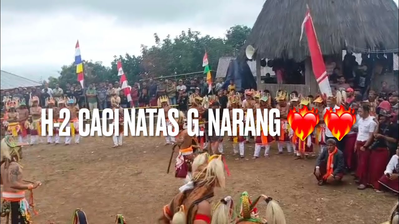  SERU !!!  CACI H-2 G NARANG 🔥🔥🔥