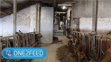 Automatic door - One2Feed