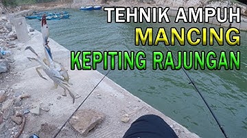 MANCING KEPITING RAJUNGAN PAKAI TUTUP BOTOL !!