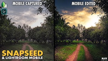 Lights and Shadows in SNAPSEED and LIGHTROOM MOBILE | Android | iPhone