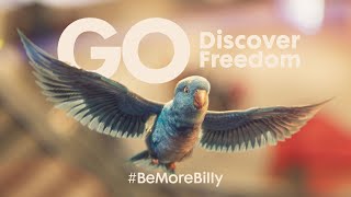 Introducing Billy | GO Outdoors TV Advert