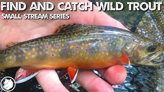 How To Find And Catch Wild Trout - Small Stream Series