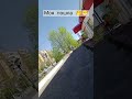 #бобёр