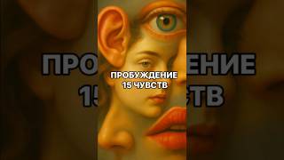 Пробуждение 15 чувств