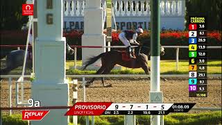 Vidéo de la course PMU PRIX YOU GIVE ME