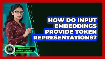 How Do Input Embeddings Provide Token Representations?