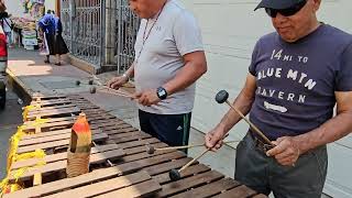Música de marimba para alegrar el día domingo en Tangancícuaro Michoacán @cotidiano399