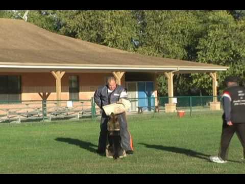 2008 USA GSD National Championship