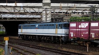2018/06/15 JR Freight: Sumidagawa Shuttle by EF65-2090 at Hama-Kawasaki