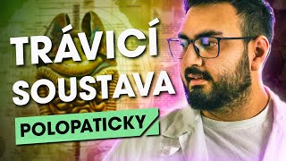 Anatomie Trávicí soustavy ...Polopaticky