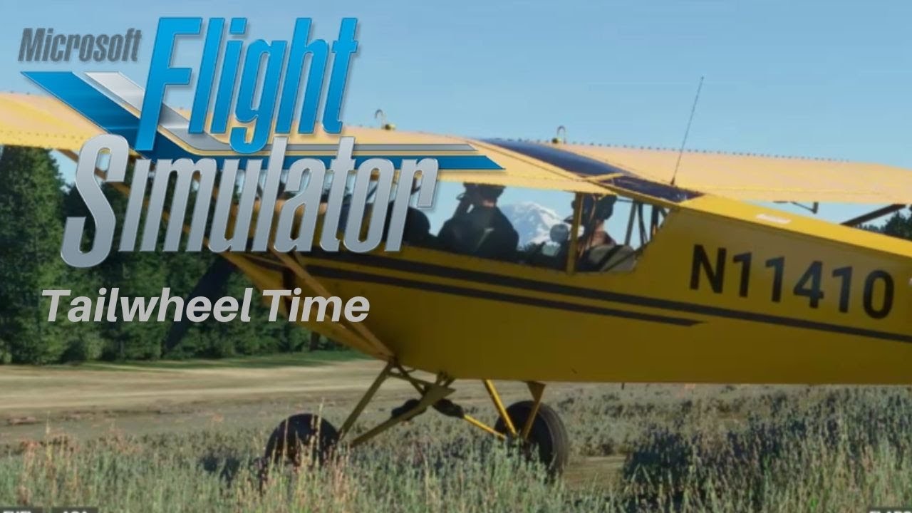 Flight Simulator 2020 - A Tailwheel Tutorial