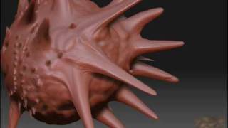ManEatingUrchin
