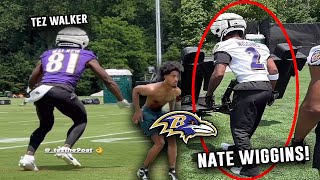 1st Round Pick NATE WIGGINS Looks ELITE 😮‍💨 + Tez Walker Debut 👀 Ravens OTA Highlights