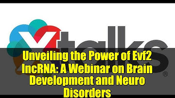 Unveiling the Power of Evf2 lncRNA: A Webinar on Brain Development and Neuro Disorders