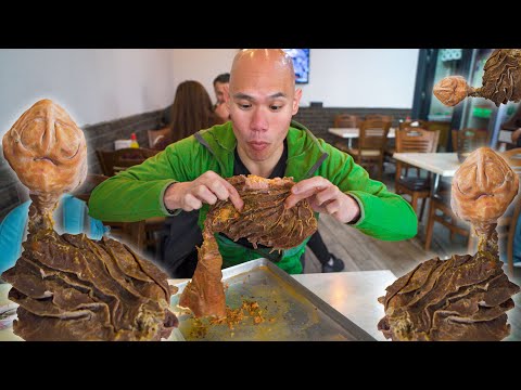 EXTREME Street Food in Turkey | MASSIVE ŞIRDAN + CRAZY STREET FOOD TOUR IN ADANA, TURKEY